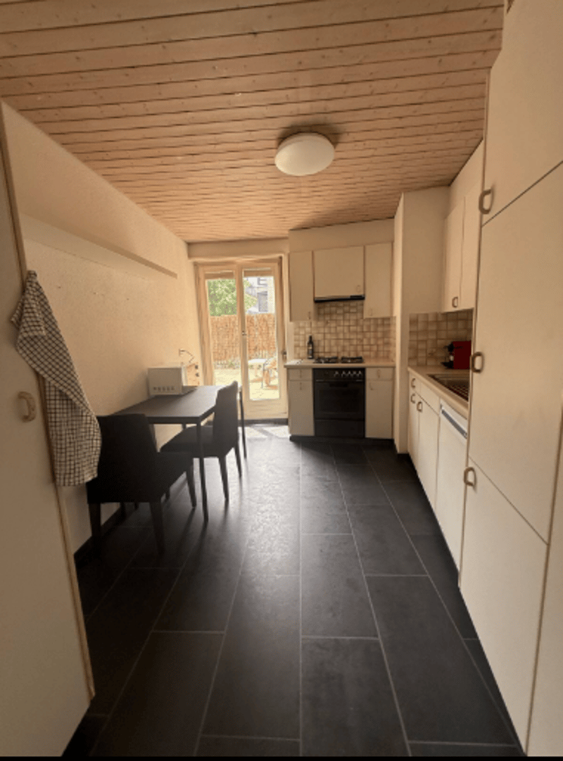 Cozy apartment in Zurich Wiesendangen (2)