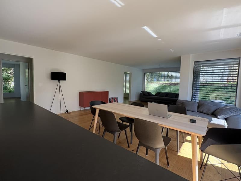 Helle, Moderne 4.5-Zimmer-Wohnung in Zürich Witikon (3)