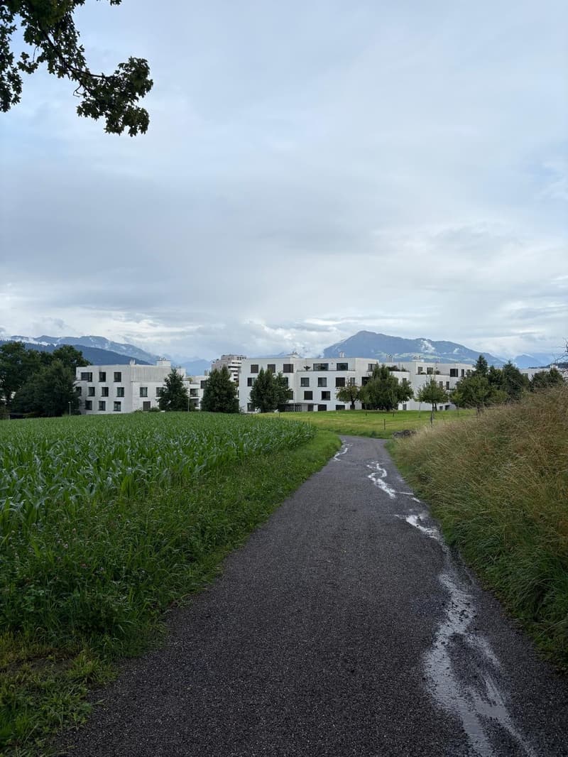 Wunderschöne Wohnung im Grünen in Cham verfügbar ab 01.10. (2)