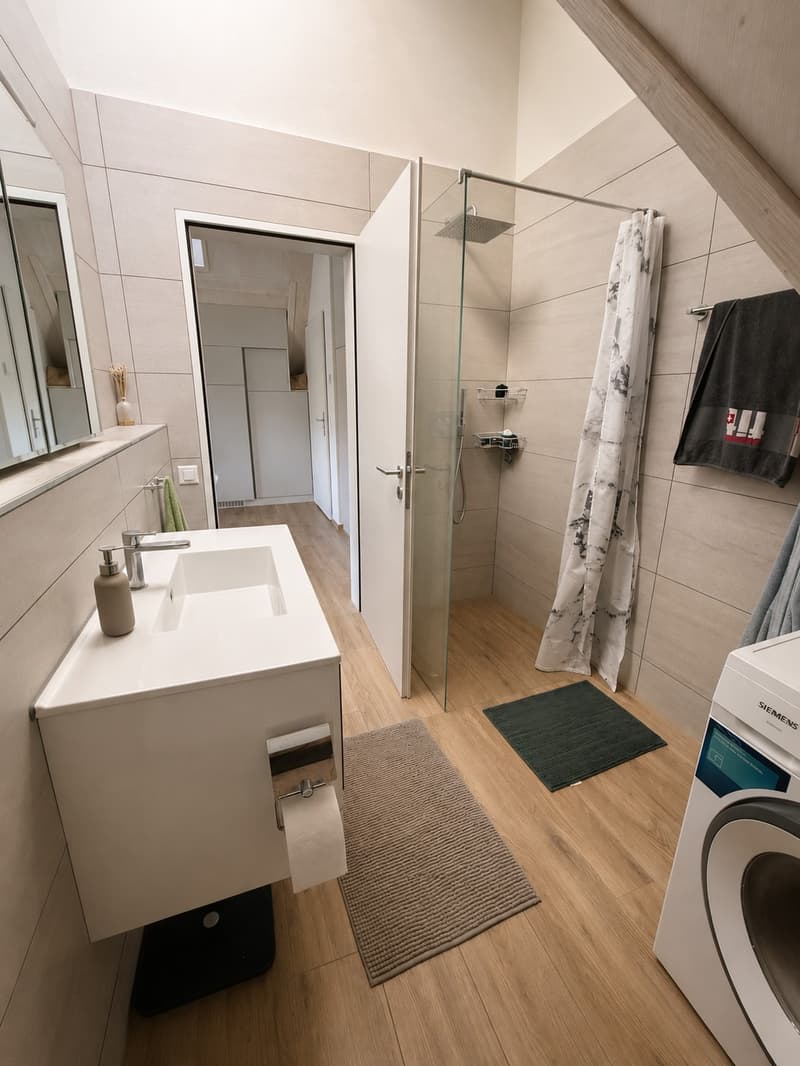 Helle Dachwohnung mit grossem Balkon und moderner Ausstattung (4)