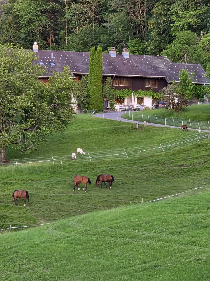 6-Zimmer-Hausteil, in wunderbarer Umgebung mit Weitsicht (13)