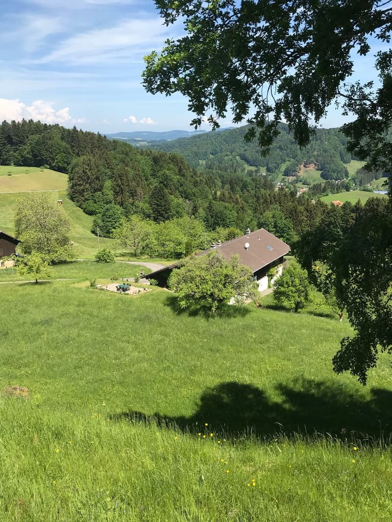 6-Zimmer-Hausteil, in wunderbarer Umgebung mit Weitsicht (12)