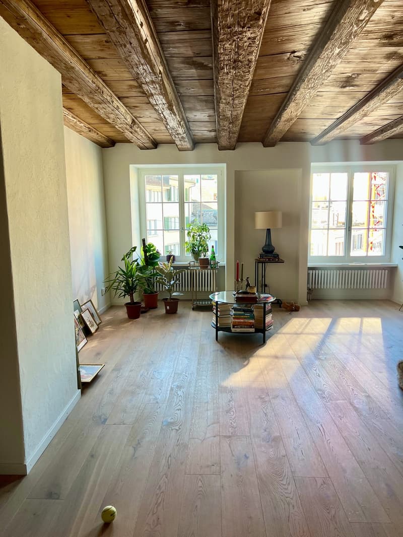 Zurich, Münsterhof - room in a large bright apartment with great views, lift and fire place (2)