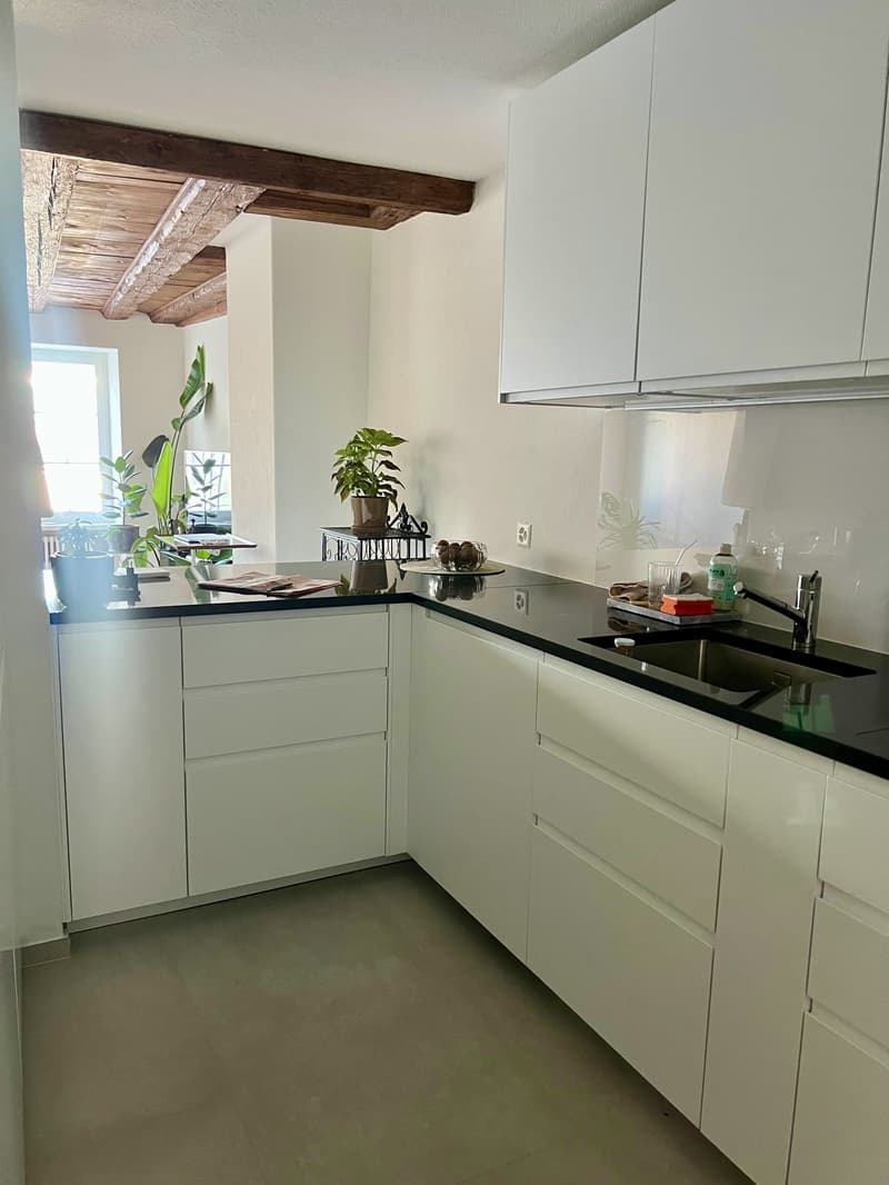 Zurich, Münsterhof - room in a large bright apartment with great views, lift and fire place (4)
