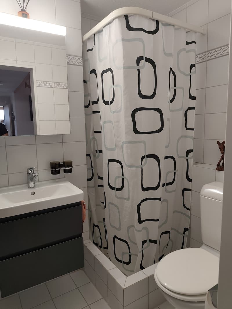 Traumhafte 5.5-Zi-Maisonette (ca. 155 m²) mit Galerie, Sichtgebälk & Cheminée in Märstetten (9)