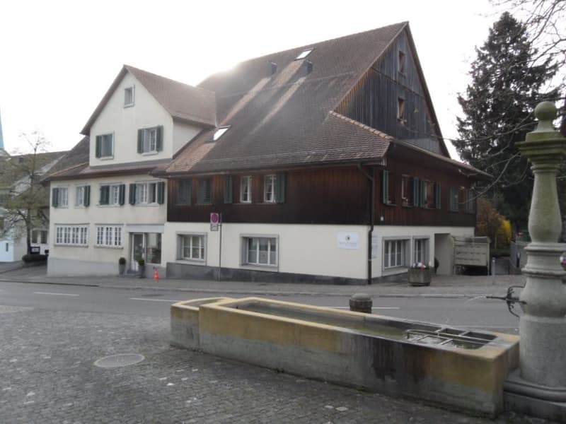 Attraktive Ladenfläche an zentraler Lage (1)