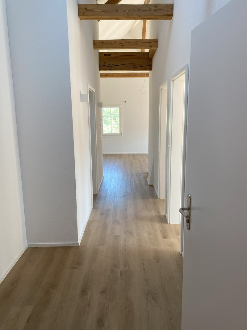 3.5 Zimmer-Wohnung auf dem Land (3)