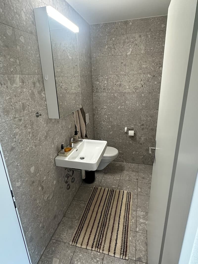 Möblierte 3½-Zimmer-Wohnung zur Zwischenmiete in Kriens (Schweighof)  1.10.2026 bis 26.1.2027 (5)