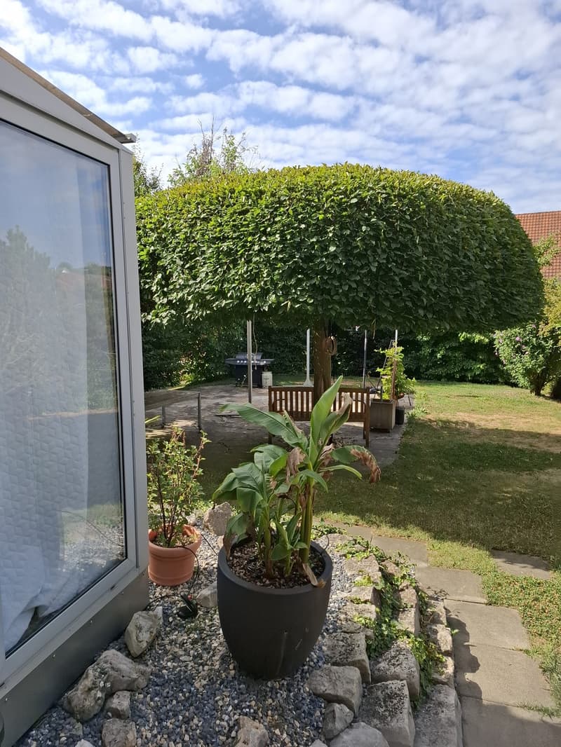 traumhafter Garten