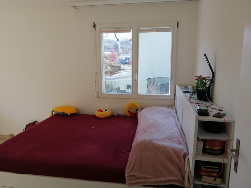 Zimmer1
