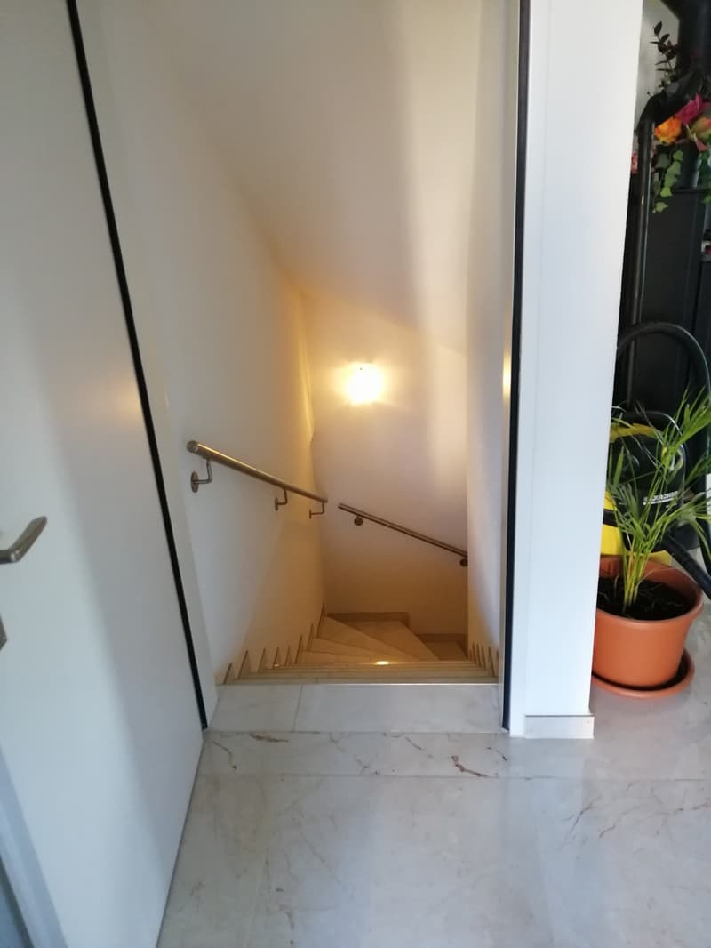 5.5-Zimmer-Einfamilienhaus mit Garten und Doppelgarage zu vermieten (9)