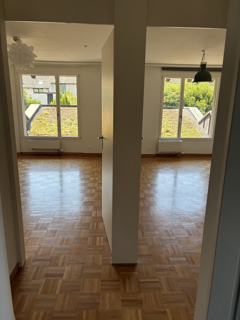 Wertvolles 5.5-Zimmer Haus mit Garten (6)