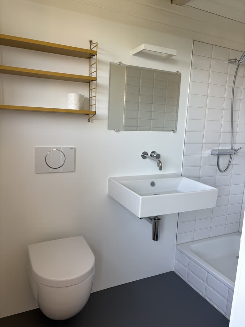 Wertvolles 5.5-Zimmer Haus mit Garten (10)