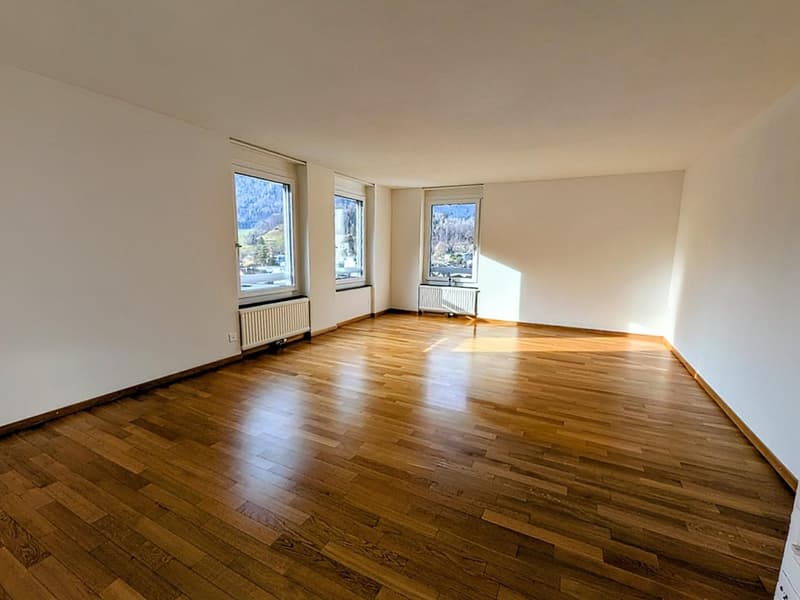 3.5 Zimmer Wohnung (1)