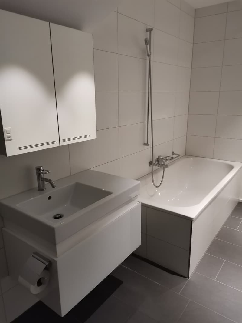 Loft mit Minergie P-Eco Standard an ruhiger Lage nähe Thunplatz (9)