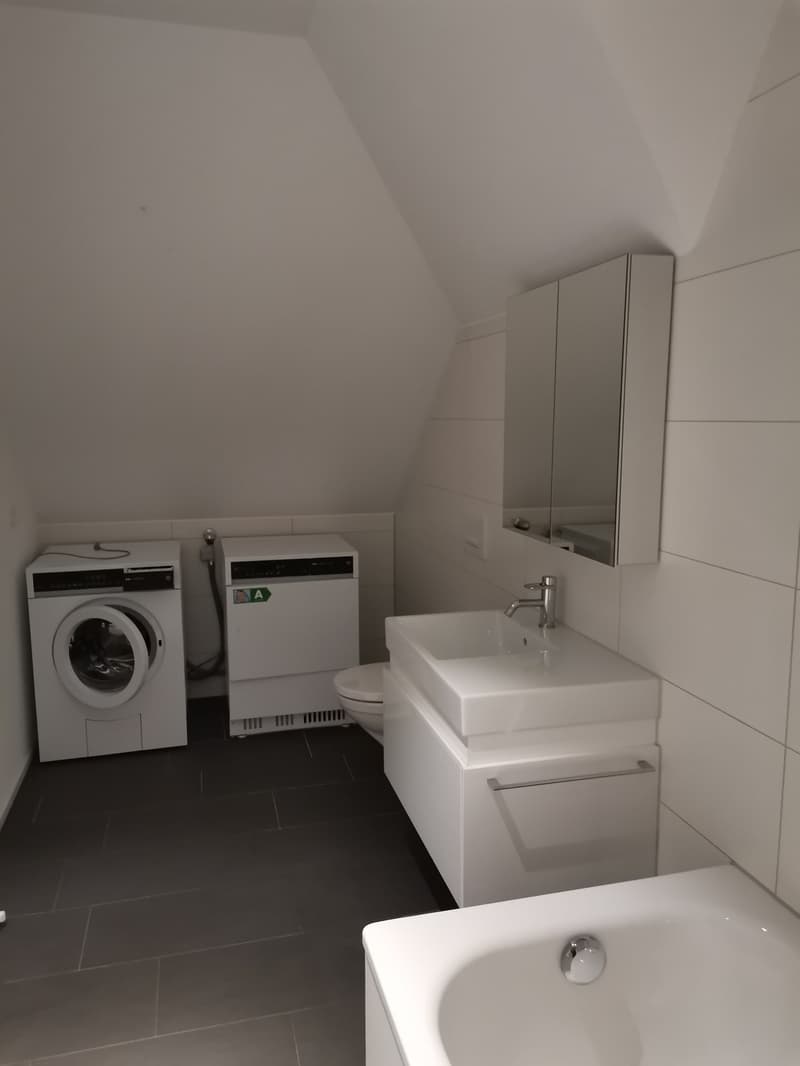 Loft mit Minergie P-Eco Standard an ruhiger Lage nähe Thunplatz (10)