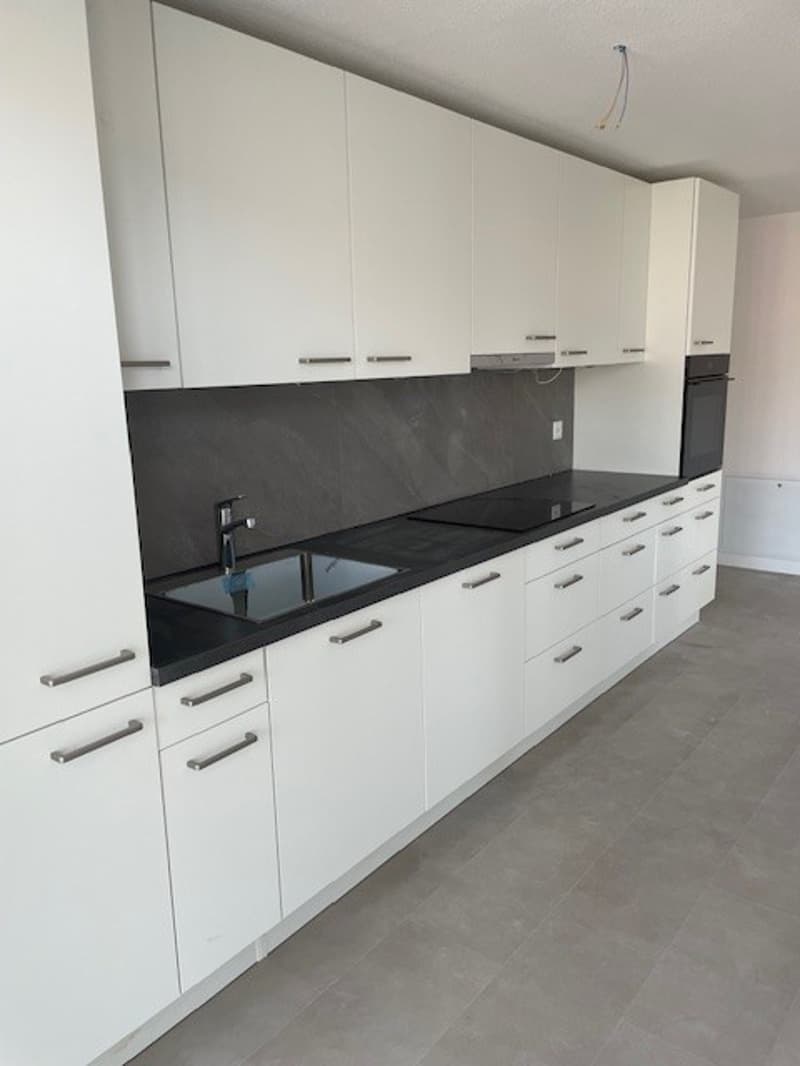 Erstvermietung neue 4.5 Zimmerwohnungen mit Balkon in totalrenoviertem Haus (1)