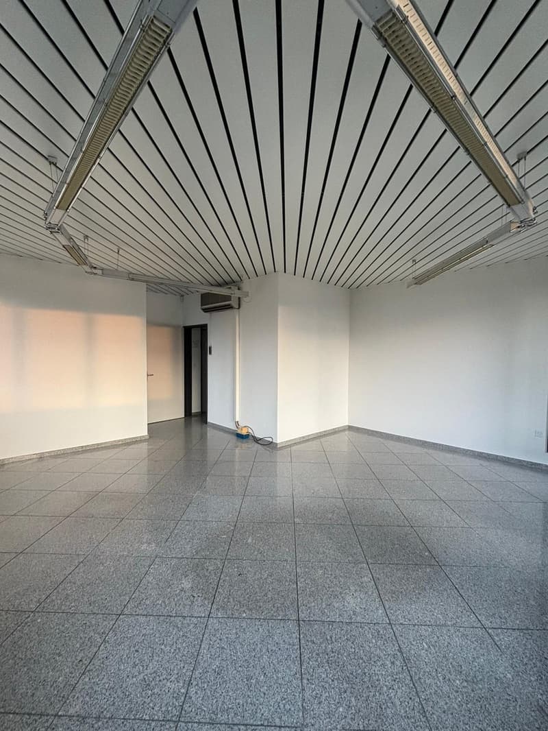 Raum für Ihre Ideen vielseitiger Gewerberaum mit Terrasse in Schenkon (6)