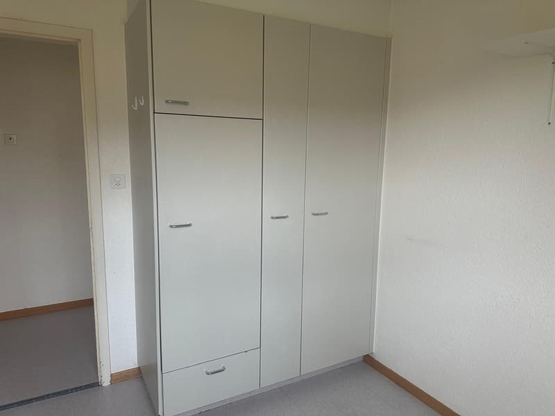 Lapartment parfait pour vous!! (5)