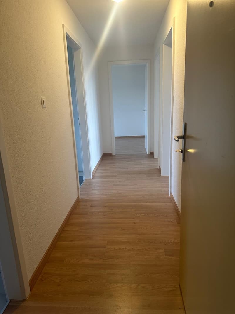 Lapartment parfait pour vous!! (3)