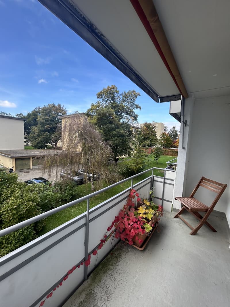 3.5 Zimmerwohnung mit 2 Balkonen in 8051 Zürich (3)