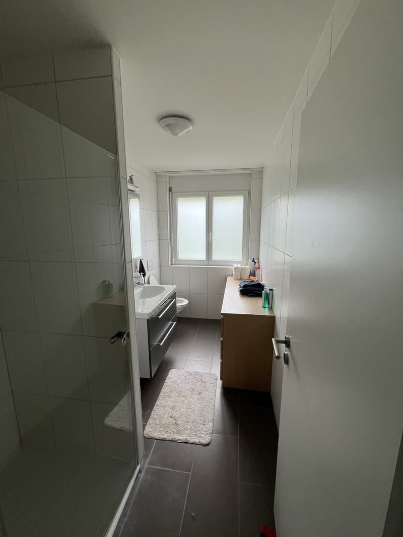 Charmante 4.5-Zimmer-Wohnung mit grossem Garten in Herznach alles inklusive! (8)