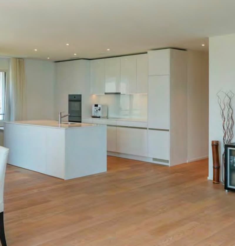 Executive lake-view residence, just minutes from Zug and Rotkreuz. Ideal for professionals relocating to Switzerland. (8)