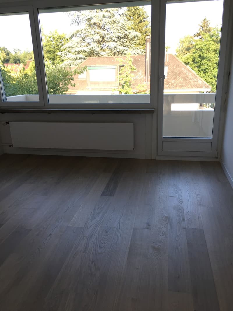 5 ½ Zimmer-Haus, 8600 Dübendorf (6)