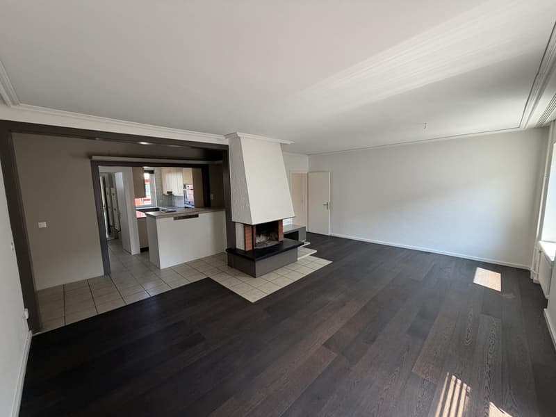 Charmante Wohnung an zentraler Lage mit Cheminée! (1)