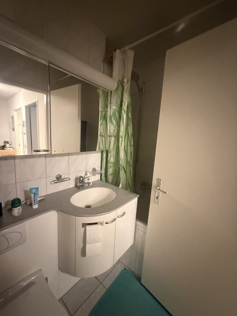 Tolle Wohnung mit grossem Balkon und schöner Sicht (8)