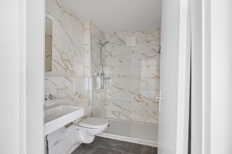 Erstvermietung nach Top-Renovation! (4)