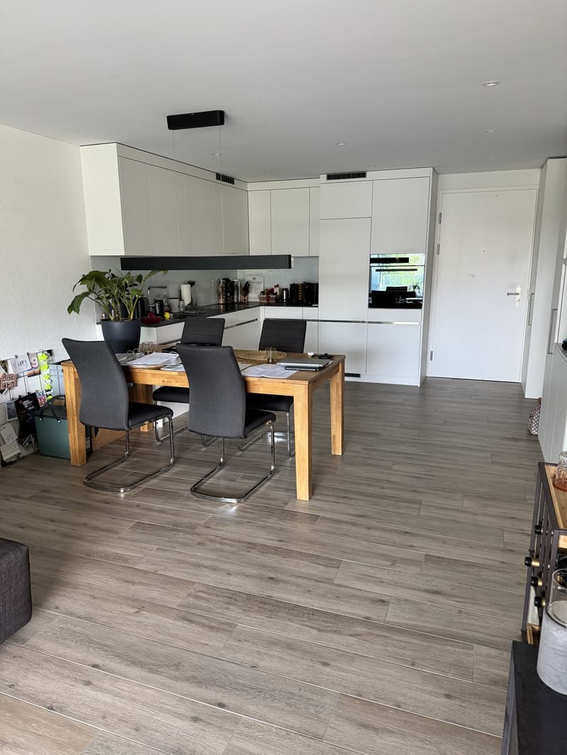 Moderne 2.5-Zimmer-Wohnung mit grossem gedecktem Sitzplatz in Wangen SZ (3)