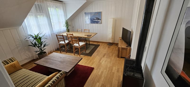 Charmante 3.5 Zimmerwohnung in 130 jährigem Haus (1)