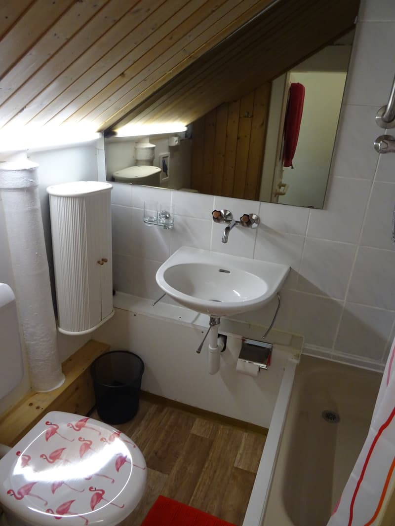 Charmante 3.5 Zimmerwohnung in 130 jährigem Haus (6)