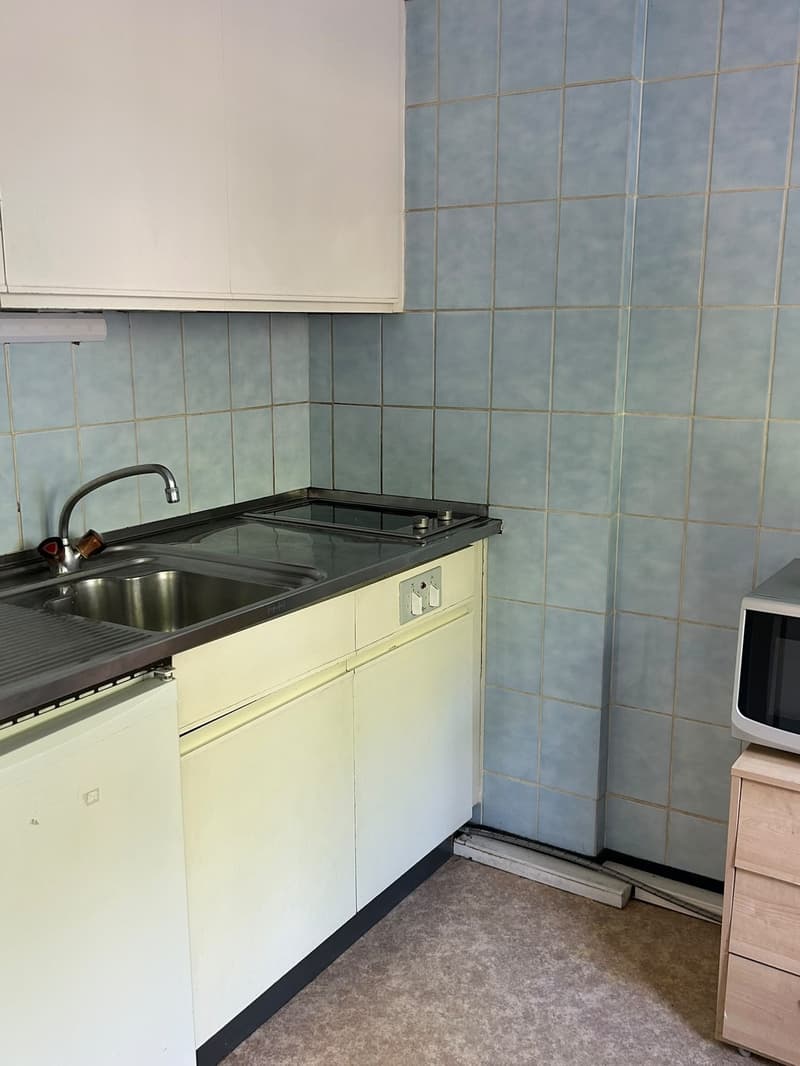 Geneva - Fully furnished cosy large Studio near UN / ILO / WHO (3)