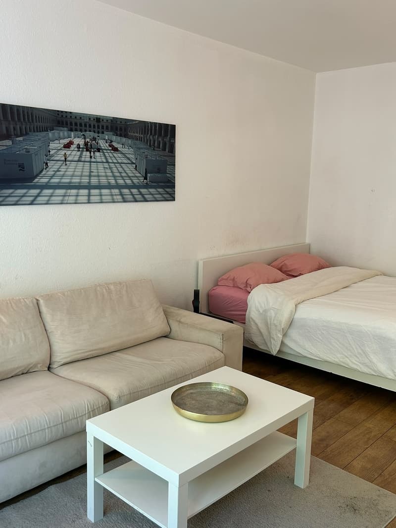 Geneva - Fully furnished cosy large Studio near UN / ILO / WHO (2)