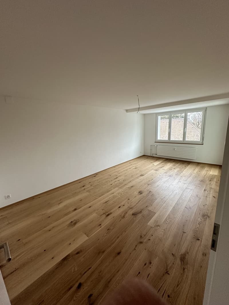 3 Zimmer-Wohnung, 4057 Basel (6)