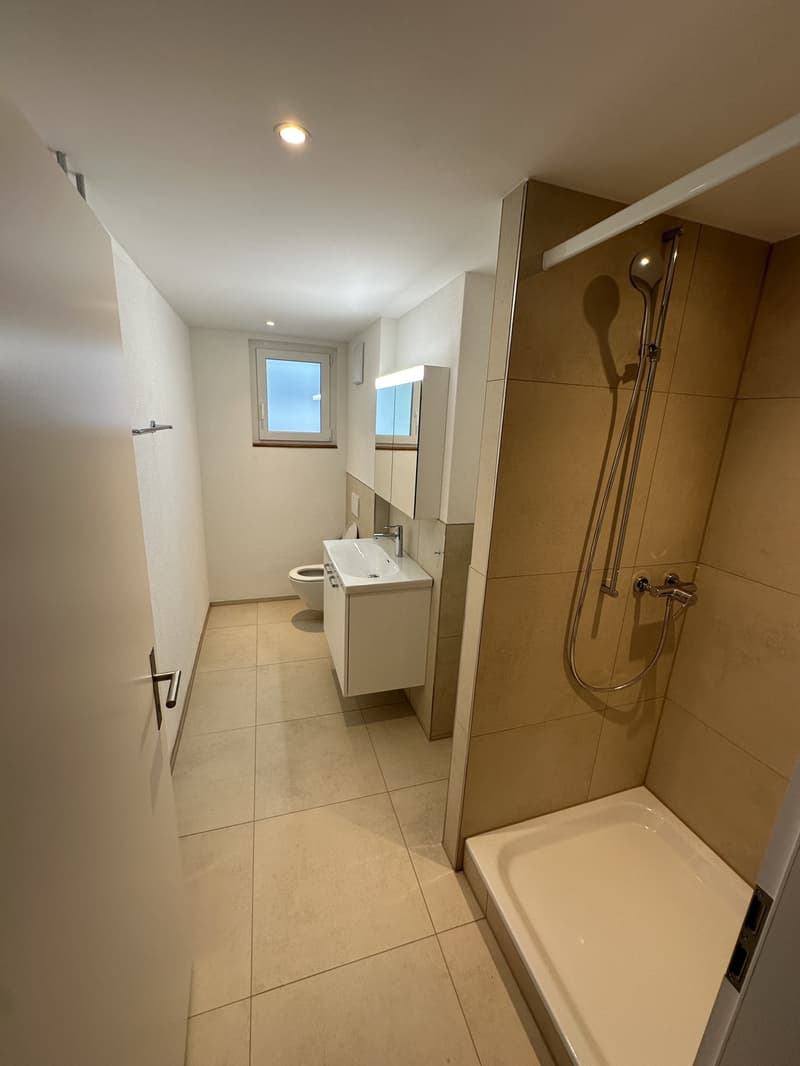 3 Zimmer-Wohnung, 4057 Basel (5)