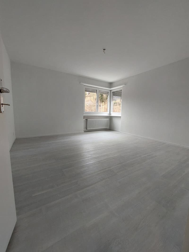 Renoviert, praktisch, funktionell (6)