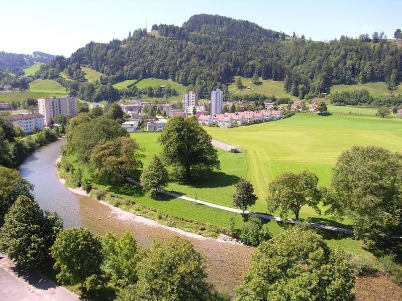 Renoviert, praktisch, funktionell (7)