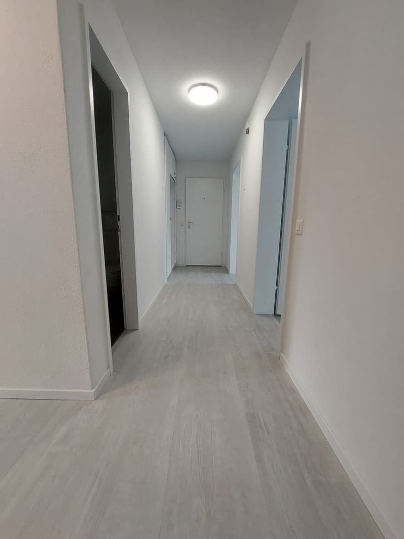 Renoviert, praktisch, funktionell (5)