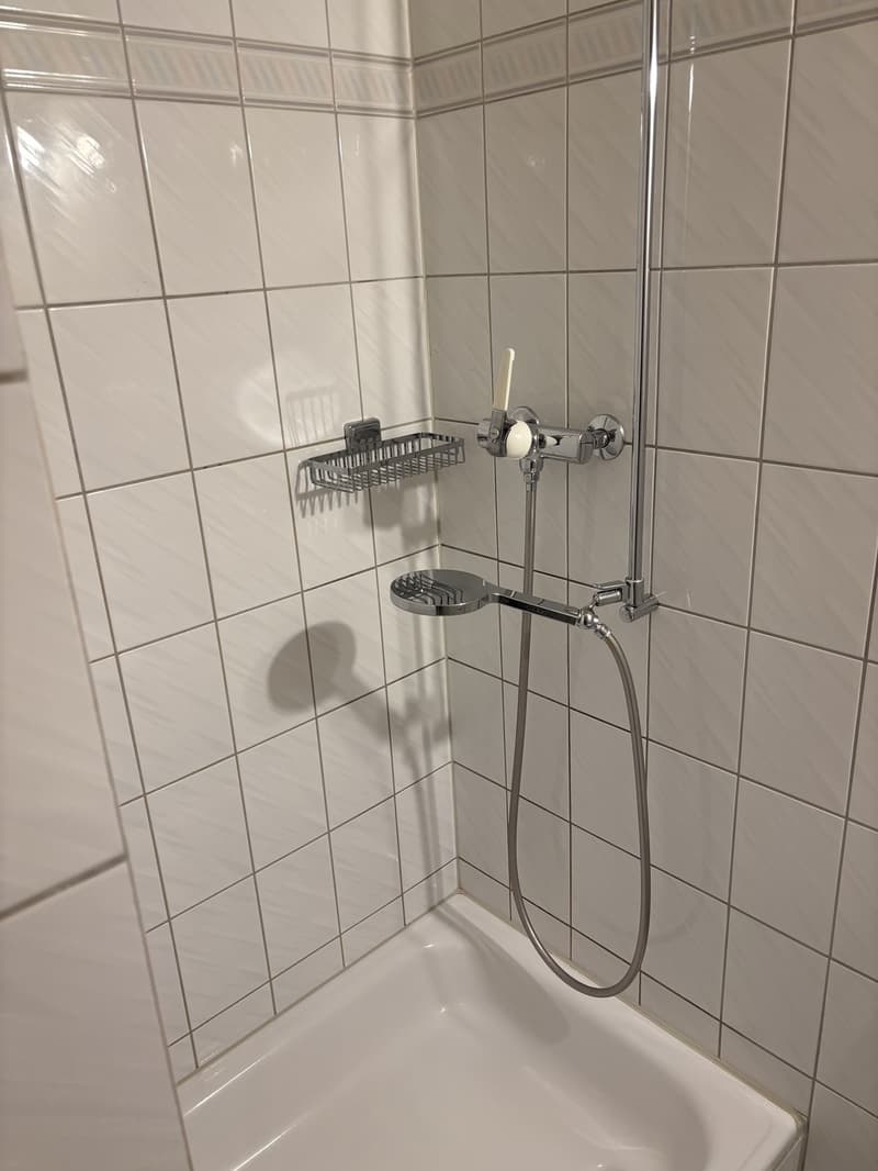 Gemütliche 2 1/2 Zimmerwohnung (9)