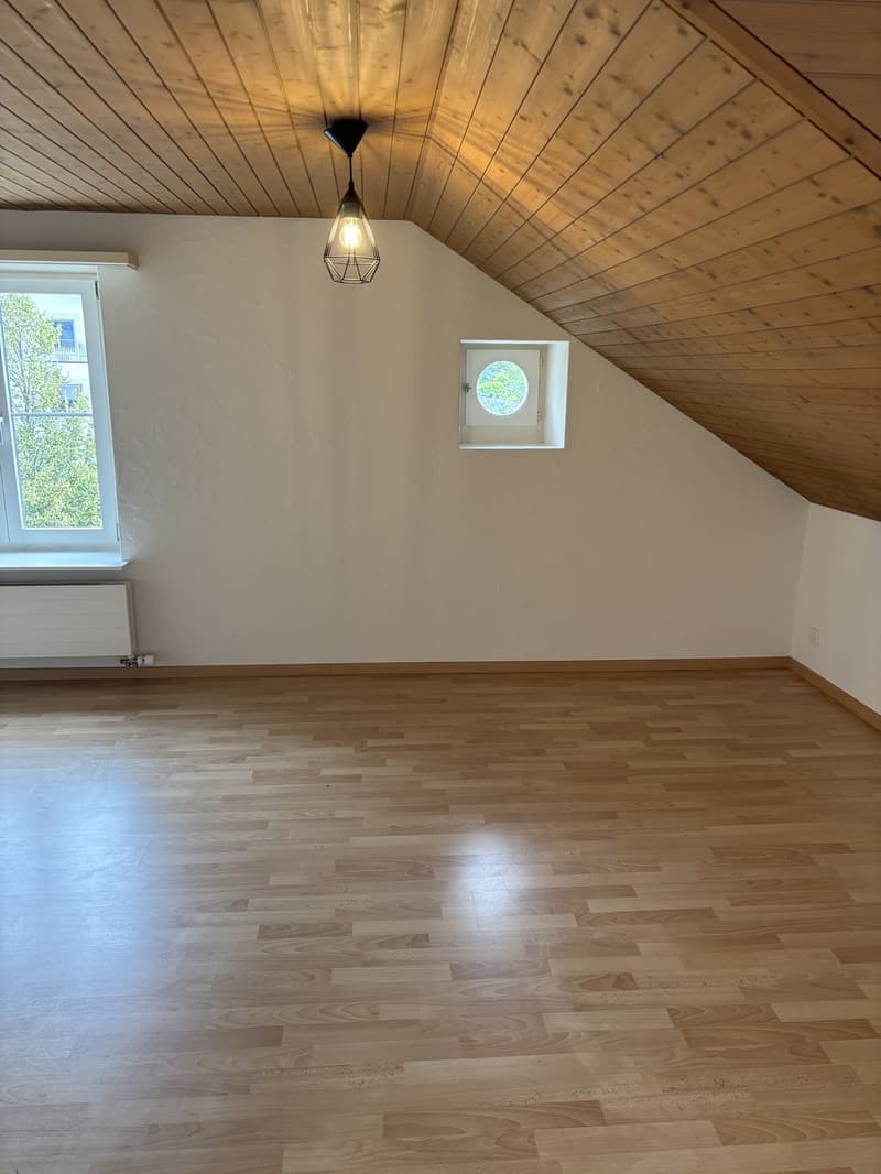 Gemütliche 2 1/2 Zimmerwohnung (7)