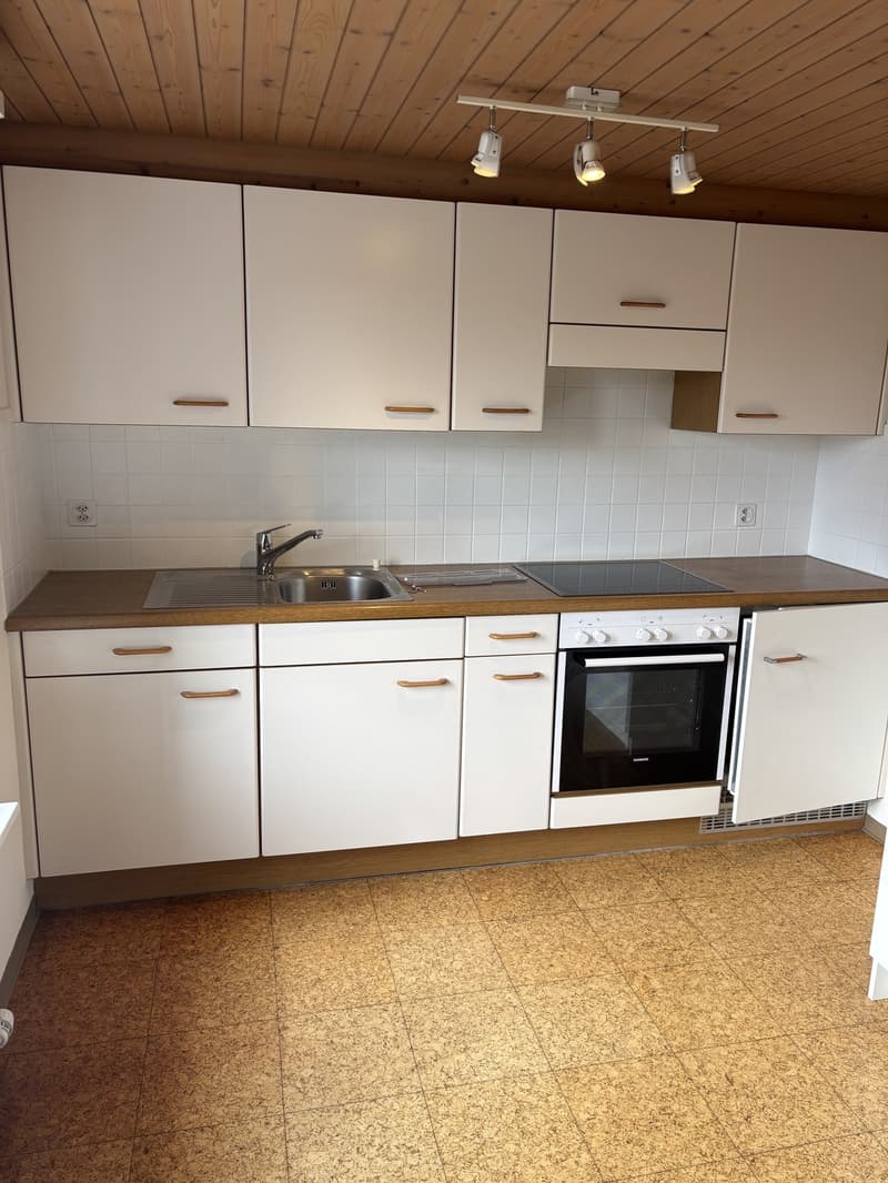 Gemütliche 2 1/2 Zimmerwohnung (1)