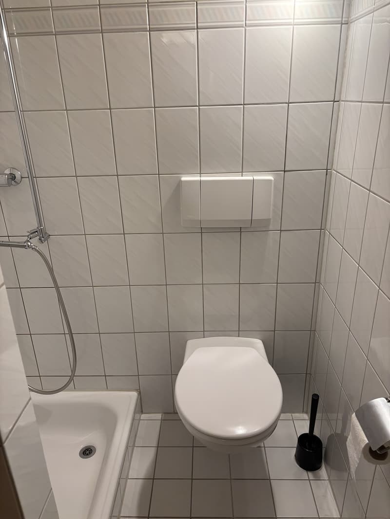 Gemütliche 2 1/2 Zimmerwohnung (10)