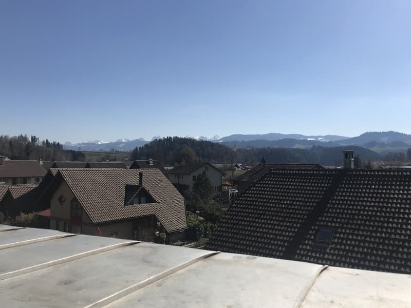 Helle Wohnung in ruhiger Liegenschaft (4)