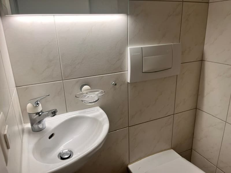 Grosszügige 4.5-Zimmerwohnung an ruhiger Lage zu vermieten (8)