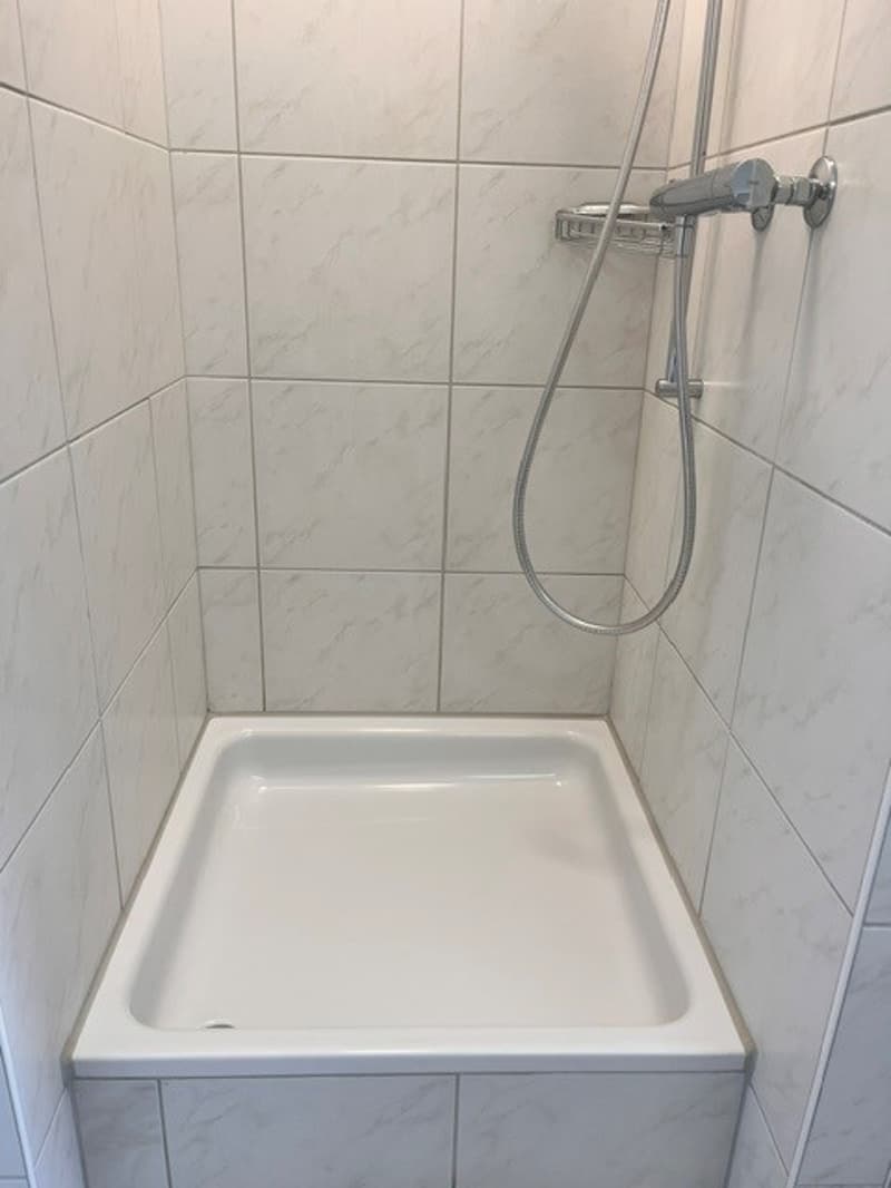 Grosszügige 4.5-Zimmerwohnung an ruhiger Lage zu vermieten (10)