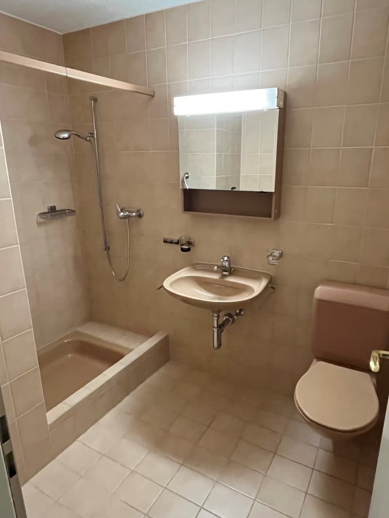 4 ½ Zimmer-Wohnung in Wetzikon ZH mieten (11)