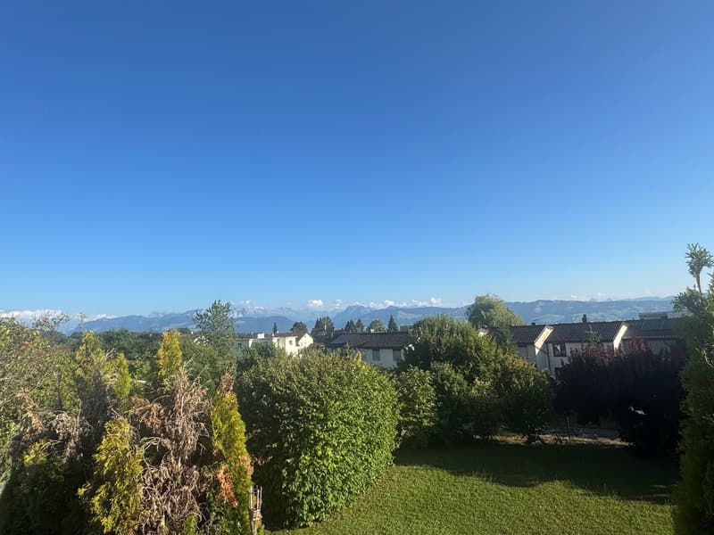 Exklusive 5.5-Zimmer-Terrassenhaus mit Panorama-Aussicht & Wellness (12)